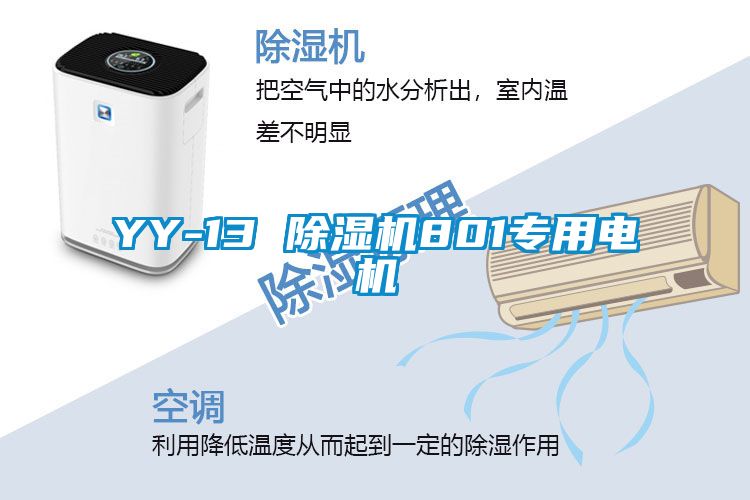 欧美黄色性爱视频网站 YY-13 除湿机801专用电机