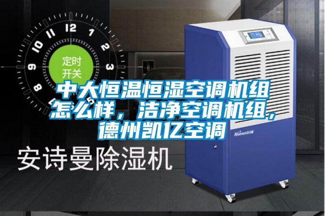 欧美黄色性爱视频网站 中大恒温恒湿空调机组怎么样，洁净空调机组，德州凯亿空调
