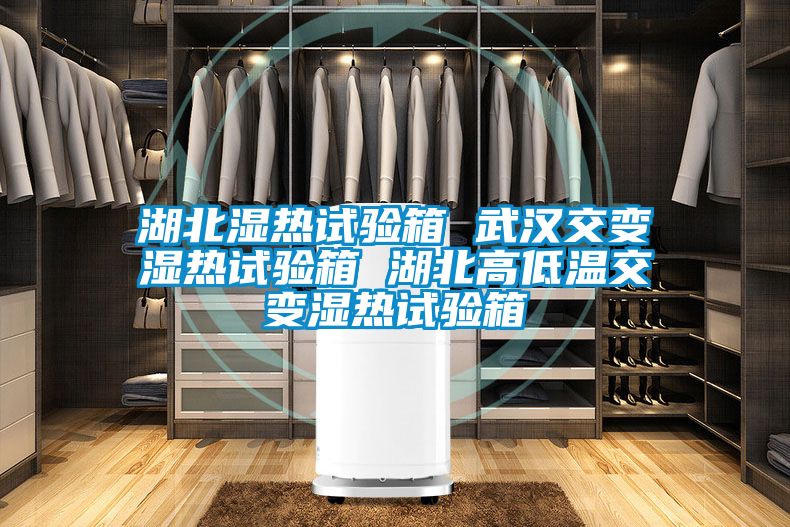 欧美黄色性爱视频网站 湖北湿热试验箱 武汉交变湿热试验箱 湖北高低温交变湿热试验箱