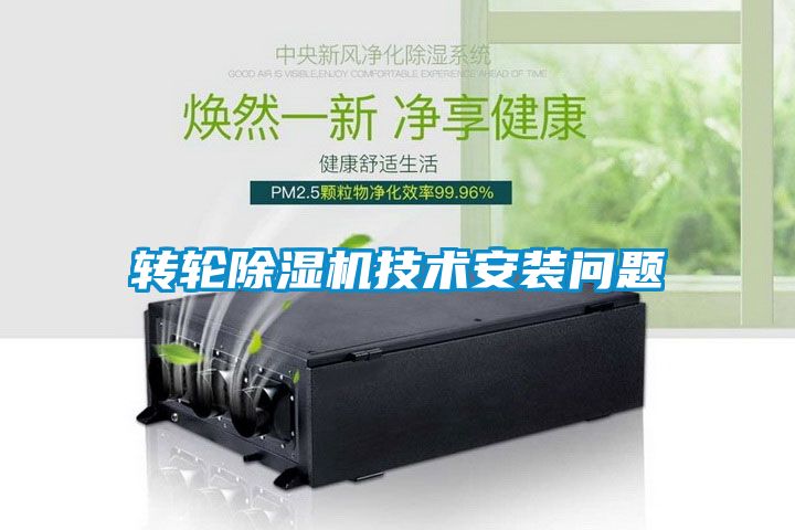 欧美黄色性爱视频网站 转轮除湿机技术安装问题