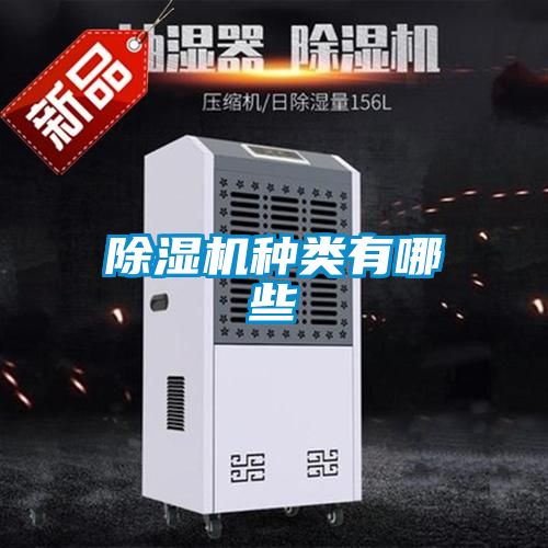 欧美成色手机在线观看 除湿机种类有哪些