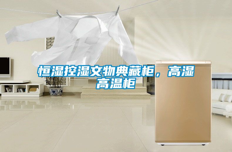 欧美黄色性爱视频网站 恒湿控湿文物典藏柜，高湿高温柜