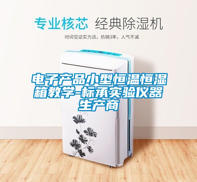 欧美黄色性爱视频网站 电子产品小型恒温恒湿箱教学-标承实验仪器生产商
