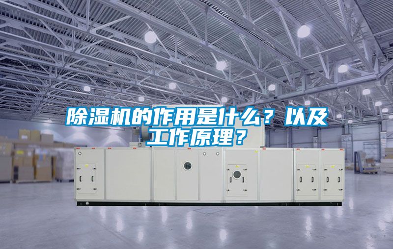 欧美黄色性爱视频网站 除湿机的作用是什么？以及工作原理？