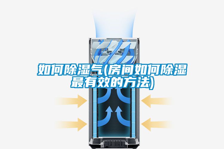 欧美成色手机在线观看 如何除湿气(房间如何除湿最有效的方法)