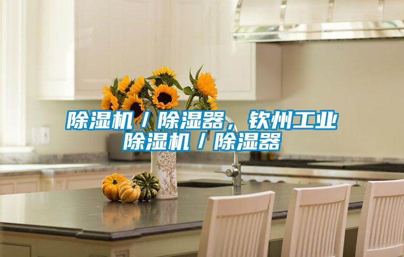 欧美黄色性爱视频网站 除湿机／除湿器，钦州工业除湿机／除湿器