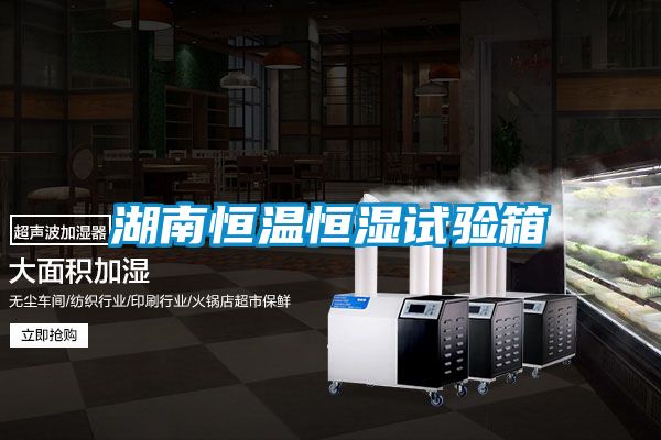 欧美成色手机在线观看 湖南恒温恒湿试验箱