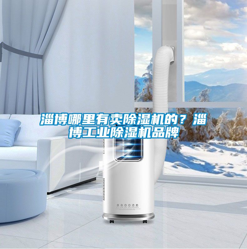 欧美黄色性爱视频网站 淄博哪里有卖除湿机的？淄博工业除湿机品牌