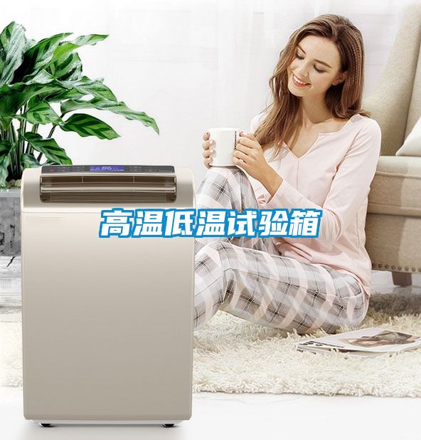 欧美黄色电影在线播放 高温低温试验箱