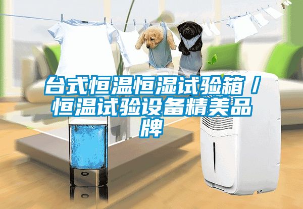 欧美黄色电影在线播放 台式恒温恒湿试验箱／恒温试验设备精美品牌