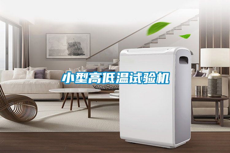 欧美黄色性爱视频网站 小型高低温试验机