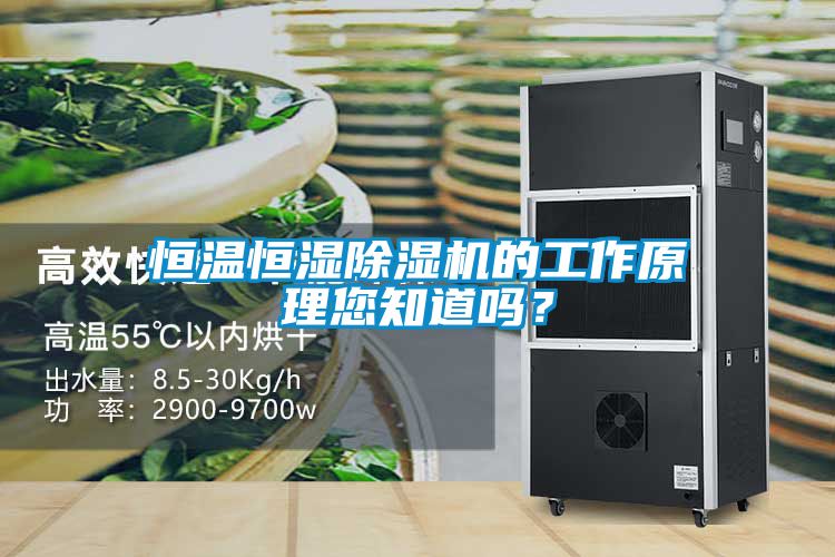 欧美黄色性爱视频网站 恒温恒湿除湿机的工作原理您知道吗？