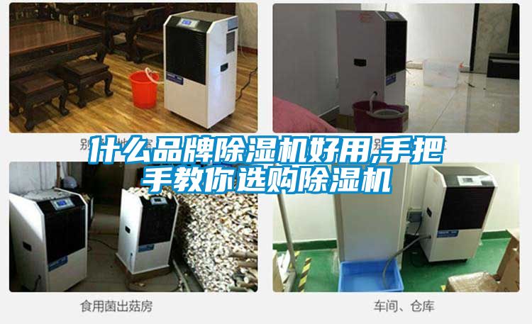 欧美成色手机在线观看 什么品牌除湿机好用,手把手教你选购除湿机
