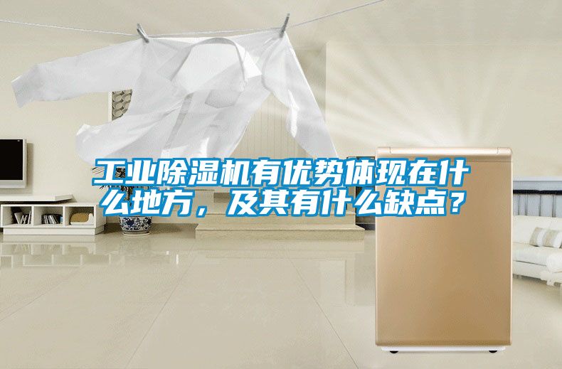 欧美成色手机在线观看 工业除湿机有优势体现在什么地方，及其有什么缺点？