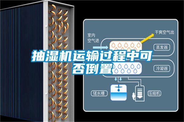 欧美成色手机在线观看 抽湿机运输过程中可否倒置