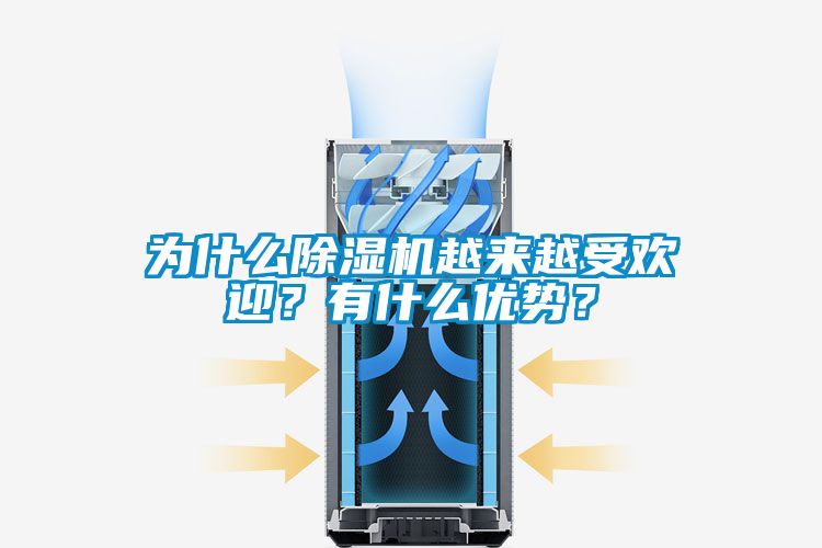 欧美成色手机在线观看 为什么除湿机越来越受欢迎？有什么优势？