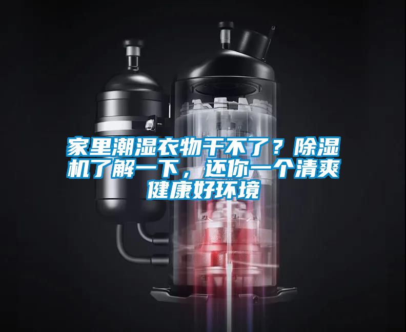 欧美黄色电影在线播放 家里潮湿衣物干不了？除湿机了解一下，还你一个清爽健康好环境