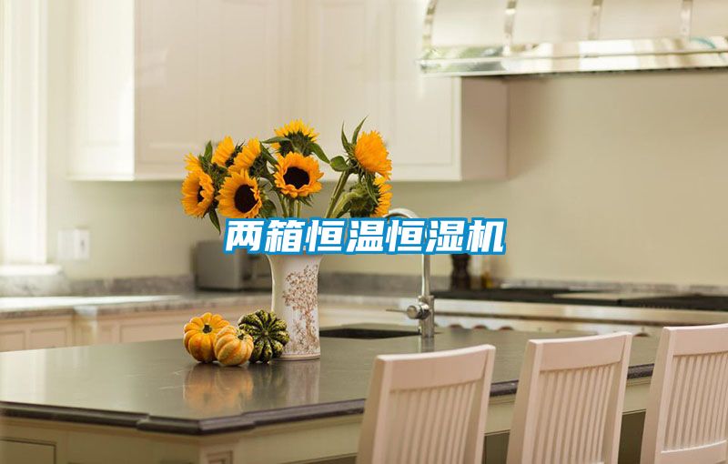 欧美黄色性爱视频网站 两箱恒温恒湿机