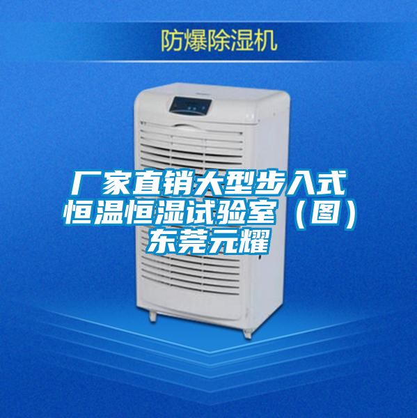 欧美成色手机在线观看 厂家直销大型步入式恒温恒湿试验室（图）东莞元耀