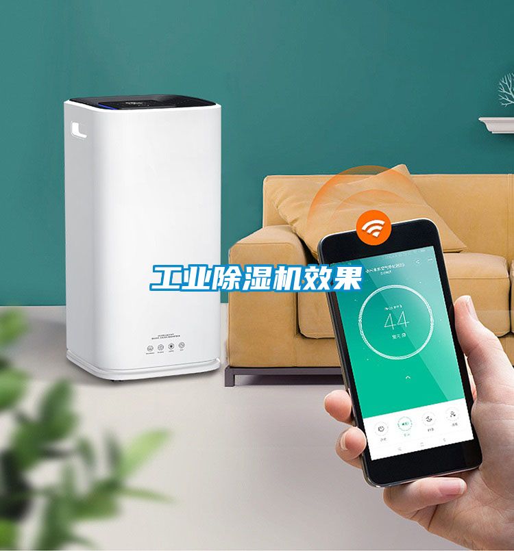 欧美黄色性爱视频网站 工业除湿机效果