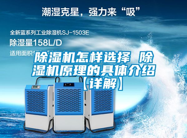 欧美黄色性爱视频网站 除湿机怎样选择 除湿机原理的具体介绍 【详解】