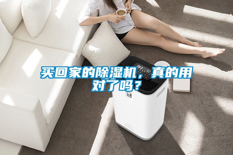 欧美黄色电影在线播放 买回家的除湿机，真的用对了吗？