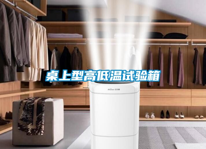 欧美黄色性爱视频网站 桌上型高低温试验箱