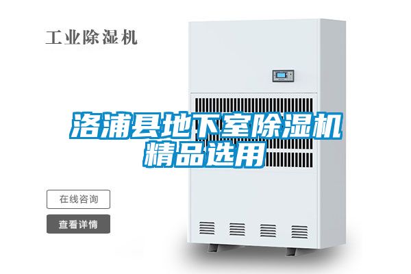 欧美黄色性爱视频网站 洛浦县地下室除湿机精品选用