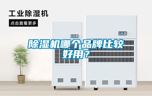 欧美成色手机在线观看 除湿机哪个品牌比较好用？
