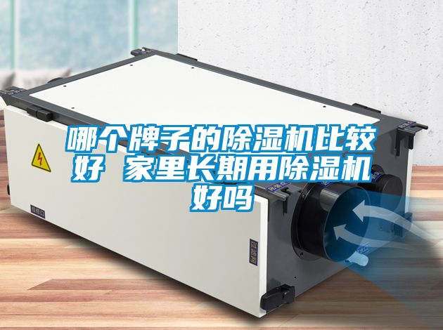 欧美黄色电影在线播放 哪个牌子的除湿机比较好 家里长期用除湿机好吗