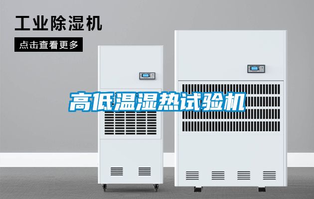 欧美黄色性爱视频网站 高低温湿热试验机