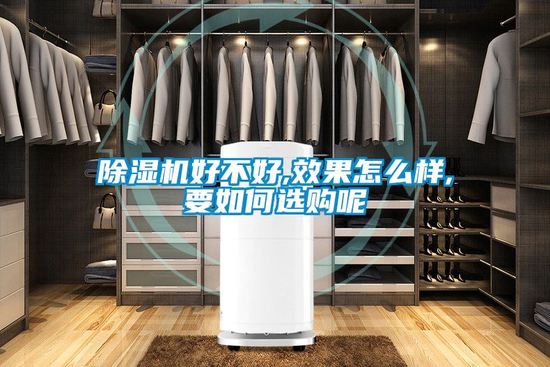 欧美黄色性爱视频网站 除湿机好不好,效果怎么样,要如何选购呢