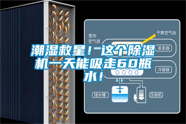 欧美成色手机在线观看 潮湿救星！这个除湿机一天能吸走60瓶水！