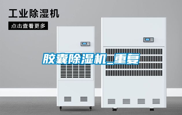 欧美黄色电影在线播放 胶囊除湿机_重复