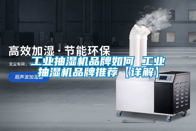 欧美黄色性爱视频网站 工业抽湿机品牌如何 工业抽湿机品牌推荐【详解】