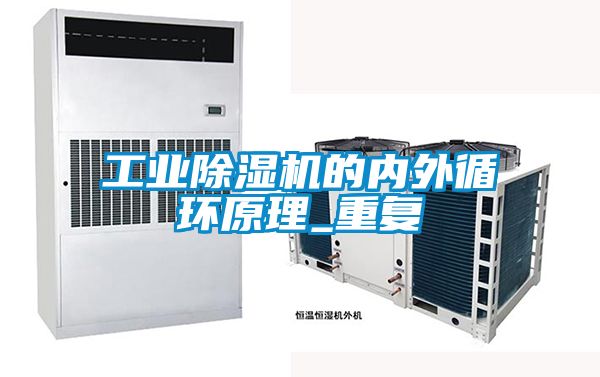 欧美黄色性爱视频网站 工业除湿机的内外循环原理_重复