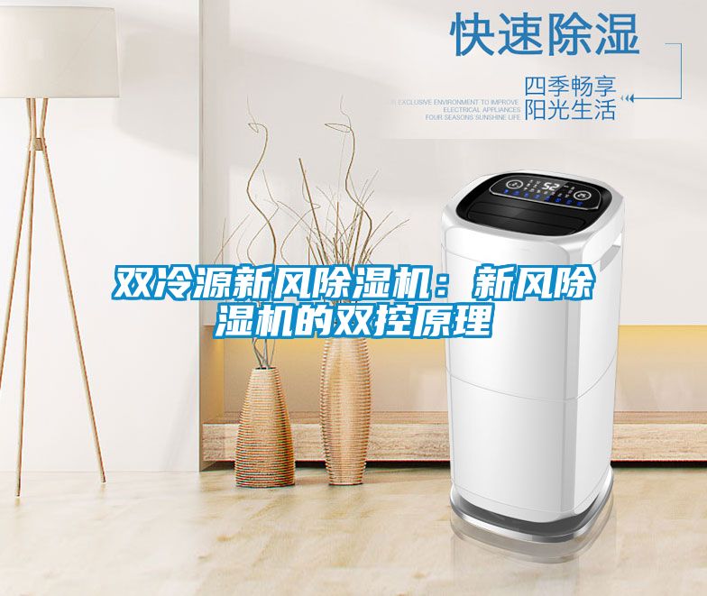 欧美黄色性爱视频网站 双冷源新风除湿机：新风除湿机的双控原理