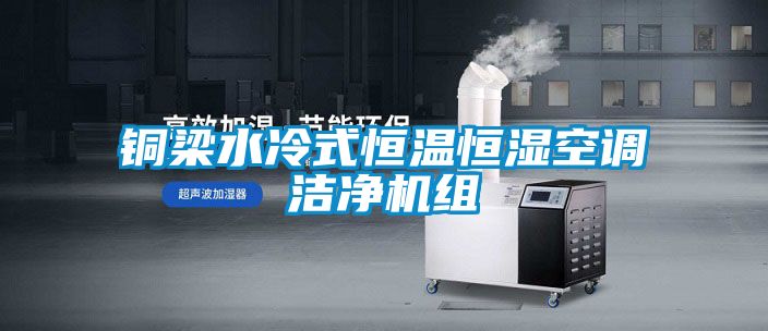 欧美黄色电影在线播放 铜梁水冷式恒温恒湿空调洁净机组