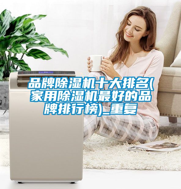 欧美黄色电影在线播放 品牌除湿机十大排名(家用除湿机最好的品牌排行榜)_重复