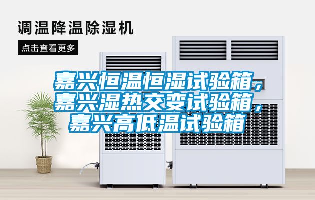欧美成色手机在线观看 嘉兴恒温恒湿试验箱，嘉兴湿热交变试验箱，嘉兴高低温试验箱