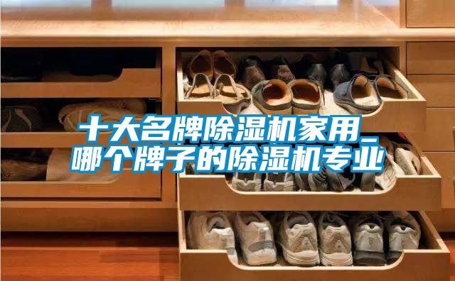 欧美成色手机在线观看 十大名牌除湿机家用_哪个牌子的除湿机专业