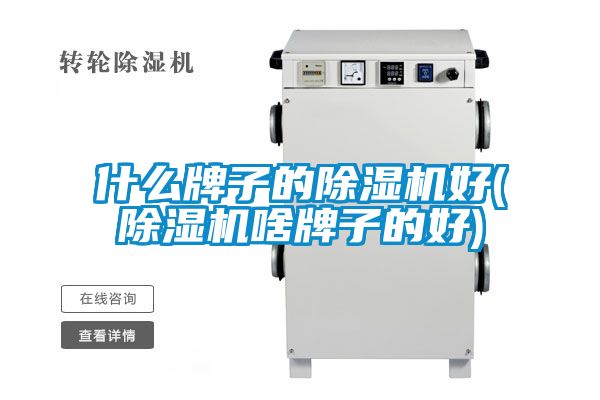 欧美黄色性爱视频网站 什么牌子的除湿机好(除湿机啥牌子的好)