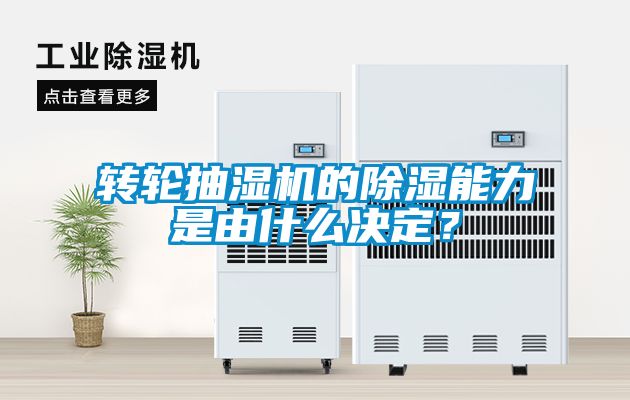 欧美黄色电影在线播放 转轮抽湿机的除湿能力是由什么决定？