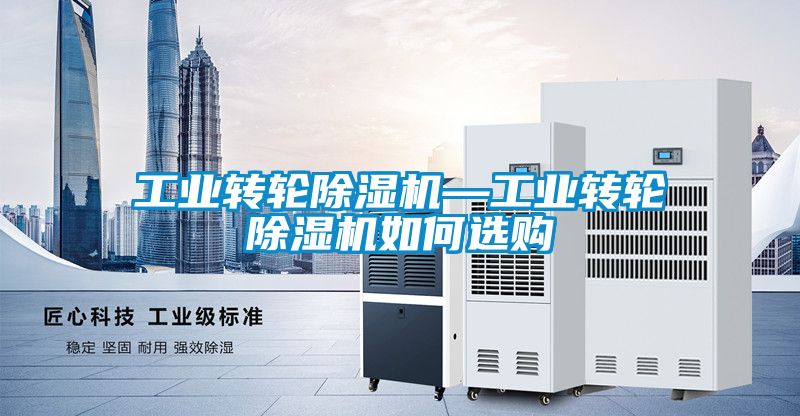 欧美黄色性爱视频网站 工业转轮除湿机—工业转轮除湿机如何选购