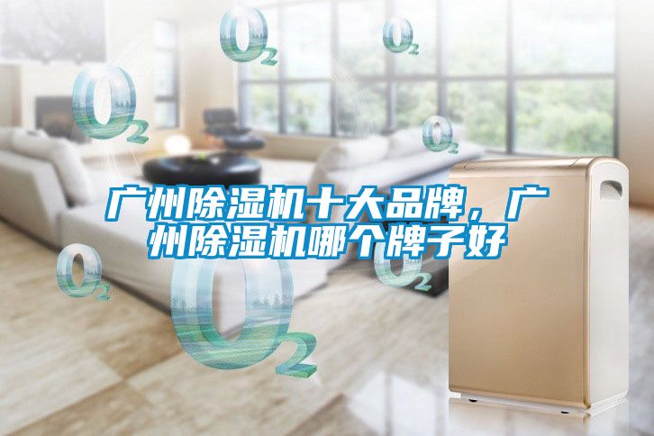 欧美黄色性爱视频网站 广州除湿机十大品牌，广州除湿机哪个牌子好
