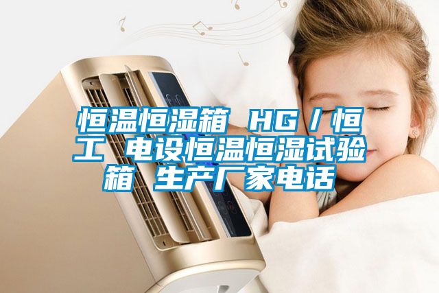 欧美黄色性爱视频网站 恒温恒湿箱 HG／恒工 电设恒温恒湿试验箱 生产厂家电话