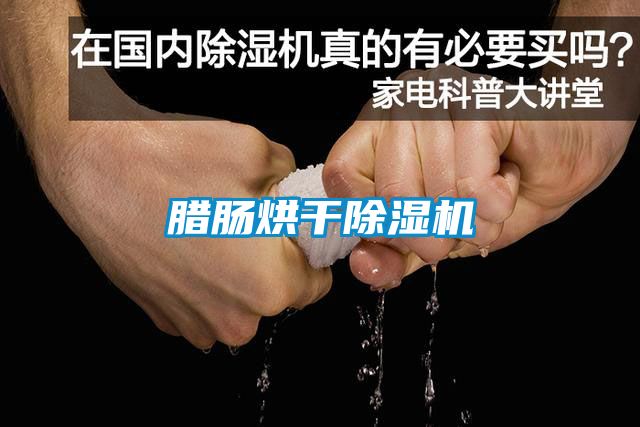 欧美成色手机在线观看 腊肠烘干除湿机