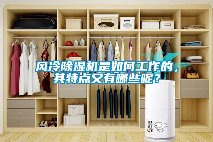 欧美成色手机在线观看 风冷除湿机是如何工作的，其特点又有哪些呢？