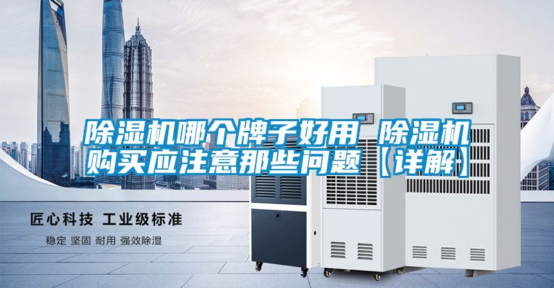 欧美黄色电影在线播放 除湿机哪个牌子好用 除湿机购买应注意那些问题【详解】