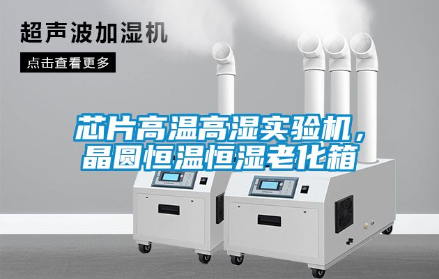 欧美黄色性爱视频网站 芯片高温高湿实验机，晶圆恒温恒湿老化箱